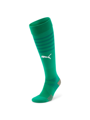 teamFINAL Socks Pepper Green-Puma White