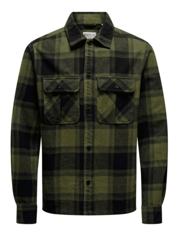 Regular Fit Shirt Collar Long Sleeves (L/S)