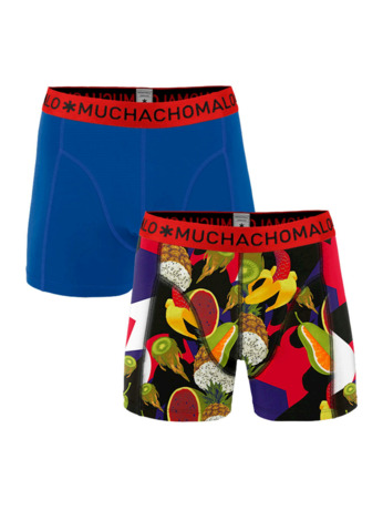Jongens 2-pack shorts Gmo Print/Blue