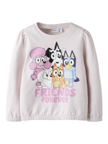 Standaard Pasvorm Ronde Hals Lange Mouwen (L/M) Meisjes