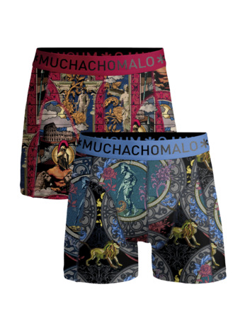 Heren 2-Pack Boxershorts Rome Print/Print