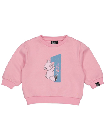 HOFABDAYSW01 Trui Uni