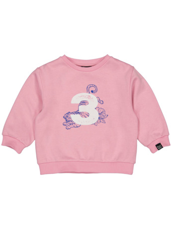 HOFABDAYSW03 Trui Uni