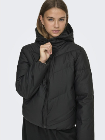 Hood Long Sleeves (L/S)