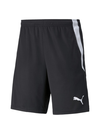 teamLIGA Training Shorts 2 (open pockets