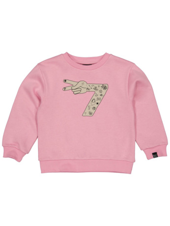 HOFABDAYSW07 Sweater Uni