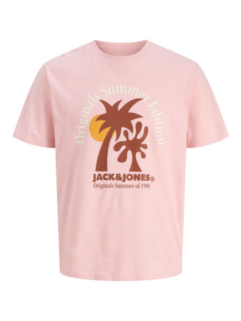 JORDOWN TEE SS CREW NECK STYDSS25