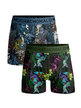 Jongens 2-Pack Boxershorts Earthelements Print/Print