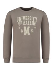 University Print Sweater