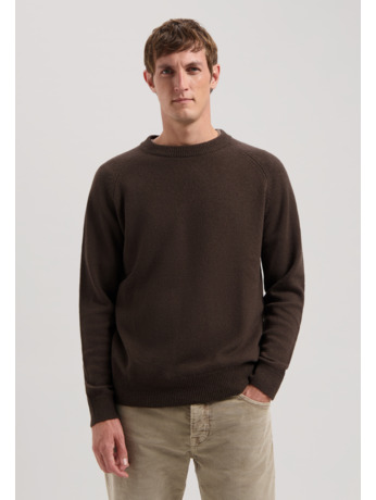 Dstrezzed Heren Trui Crewneck DS Stefan Zwart