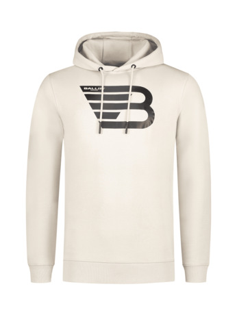 Originele Icoon Logo Hoodie 100% Biologisch Katoen Mannen