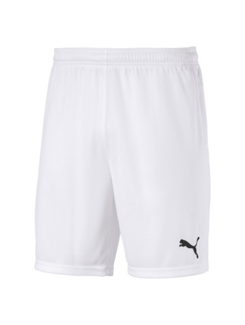 teamGOAL 23 knit Shorts Puma White