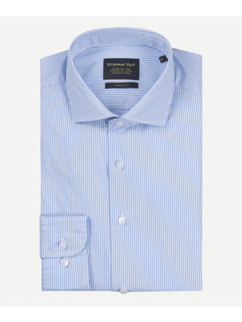 Small Stripe Shirt Cutaway