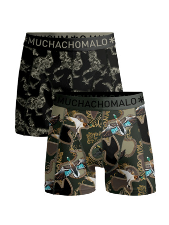 Heren 2-Pack Boxershorts Man Eend Print/Green