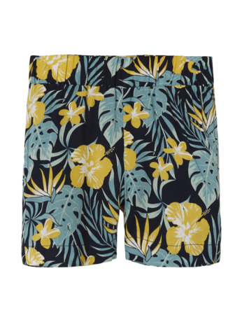 Gestreepte Shorts Regular Fit