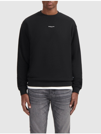 Botanische Identiteit Sweater 100% Katoen Mannen
