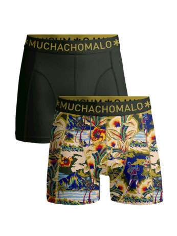 Heren 2-pack Boxershorts Baretta Blauw Hawai Print/Green