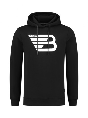 Original Icon Logo Print Hoodie