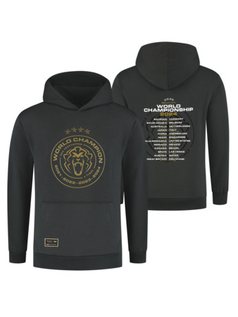 Kids - World Champion 2024 Hoodie - Charcoal - Max Verstappen