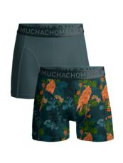 Men 2-pack Boxer Shorts print/solid