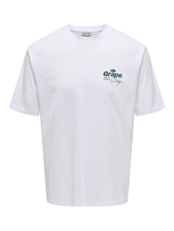 ONSALFRESCO RLX SS TEE