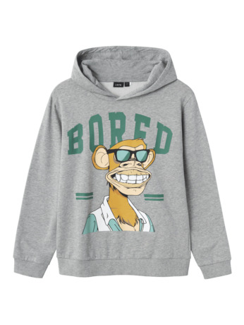 Regular Fit Hoodie Long Sleeves (L/S) Sweatshirt