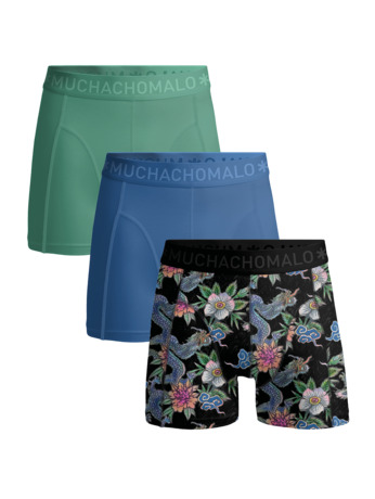 Heren 3-Pack Boxershorts Print/Effen Print/Blue/Green