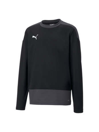 teamGOAL 23 Training Sweat Jr  Puma Blac