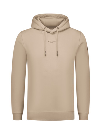 Skihelling Steden Hoodie Mannen