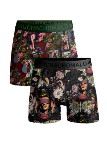 Jongens 2-Pack Boxershorts Blindtango Print/Print