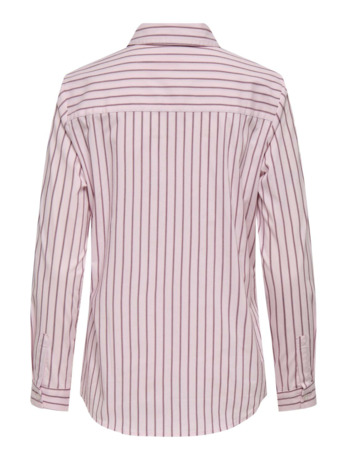 Regular Fit Shirt Collar Long Sleeves (L/S)