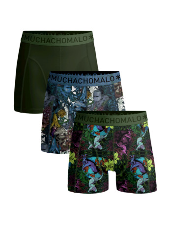 Heren 3-pack Boxershorts Earthelements Print/Print/Green