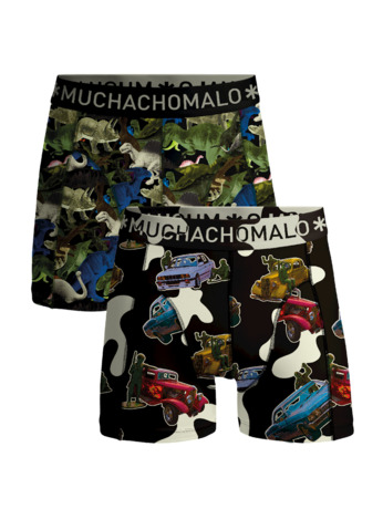 Mannen 2-Pack Boxershorts Figuren Print/Print