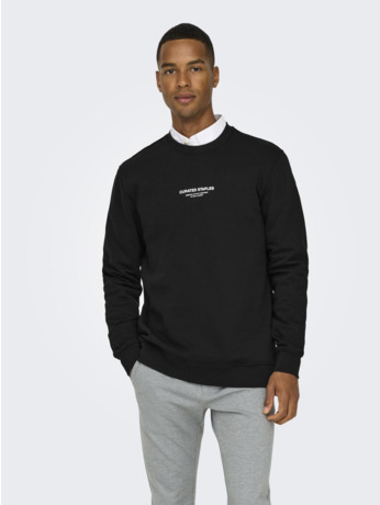 Regular Fit Crew Neck Lange Mouwen (L/S) Heren