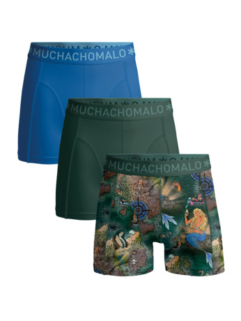 Heren 3-Pack Boxershorts Print/Effen Print/Green/Blue