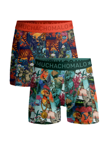 Jongens 2-Pack Boxershorts Vogelkat Print/Print
