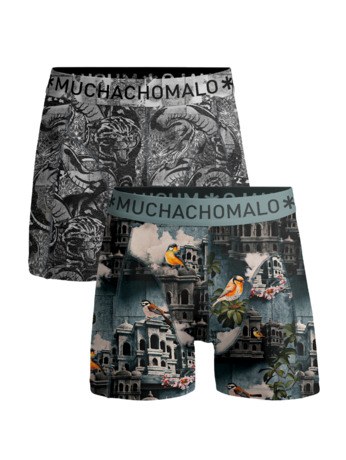 Heren 2-Pack Boxershorts Istanbul Print/Print