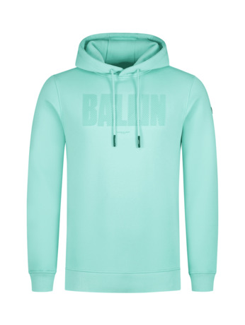 HD Print Logo Hoodie Mannen