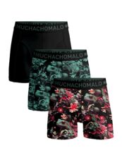 Men 3-Pack Boxer Shorts Print/Print/Solid