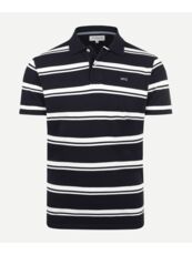 Bold Stripe Polo