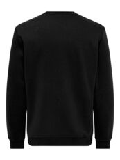 Regular Fit Crew Neck Long Sleeves (L/S)