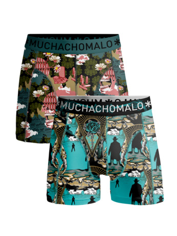 Jongens 2-pack shorts Een ander bijt Print/Print