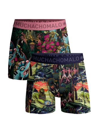 Jongens 2-Pack Boxershorts Oude Beschavingen Print/Print