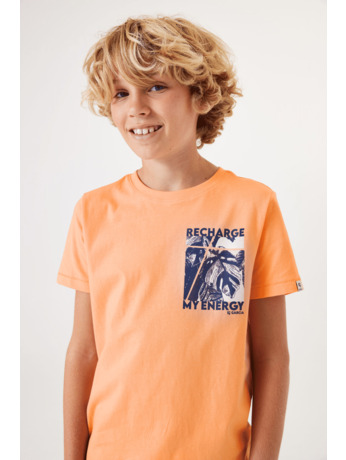 Boys T-shirt