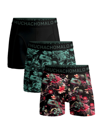 Men 3-Pack Boxer Shorts Print/Print/Solid