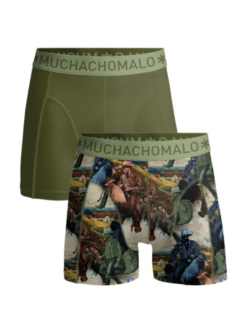 Heren 2-Pack Boxershort Print/Effen Print/Green
