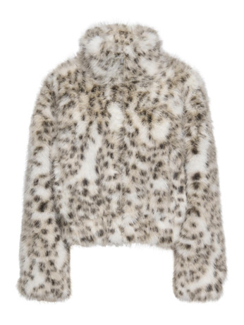 Spread Collar Long Sleeves (L/S)