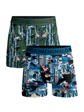 Heren 2-pack shorts Watervallen Print/Print