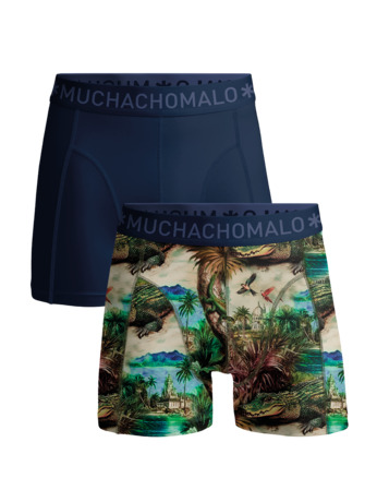Heren 2-Pack Boxershort Print/Effen Print/Blue