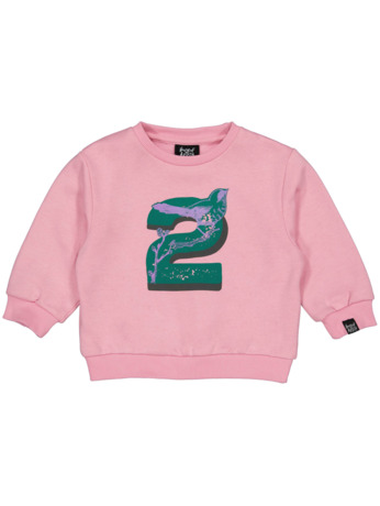 HOFABDAYSW02 Trui Uni